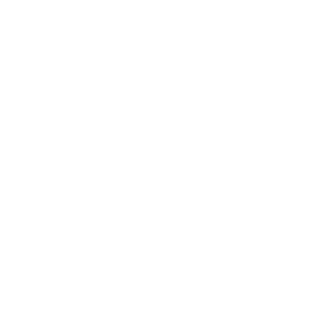 Wohnout